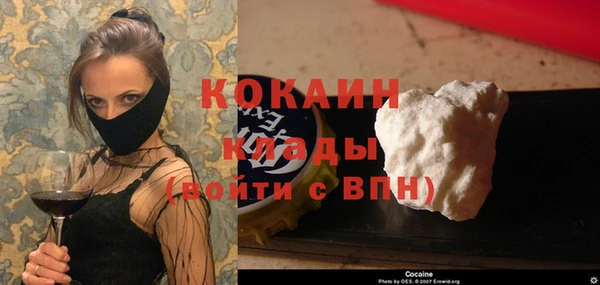 кокс Щучье