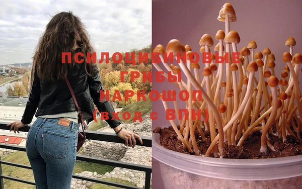 марихуана Кодинск