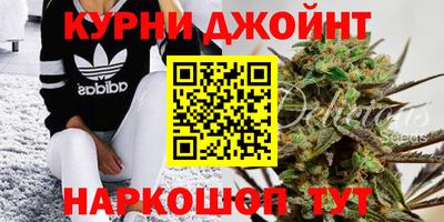 apvp Краснодар