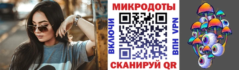 где продают   Усть-Джегута  Галлюциногенные грибы Psilocybine cubensis 