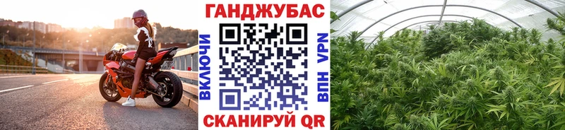 наркота  Усть-Джегута  Шишки марихуана планчик 